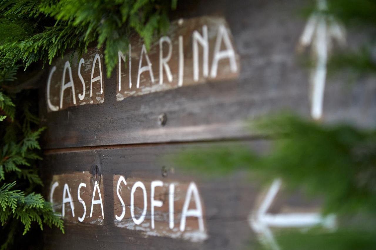 Agriturismo Da Rosy Codevigo Екстер'єр фото