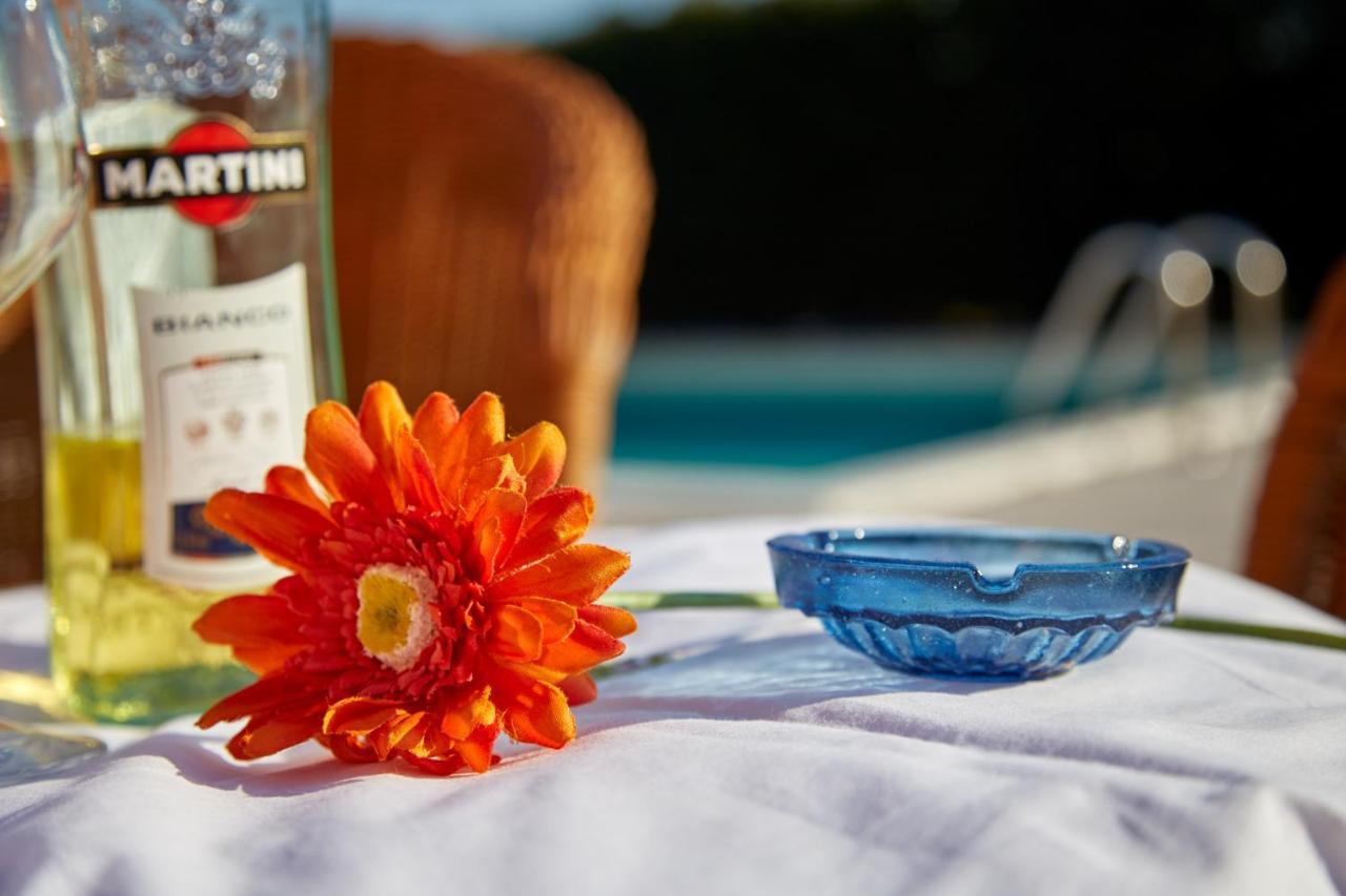 Agriturismo Da Rosy Codevigo Екстер'єр фото