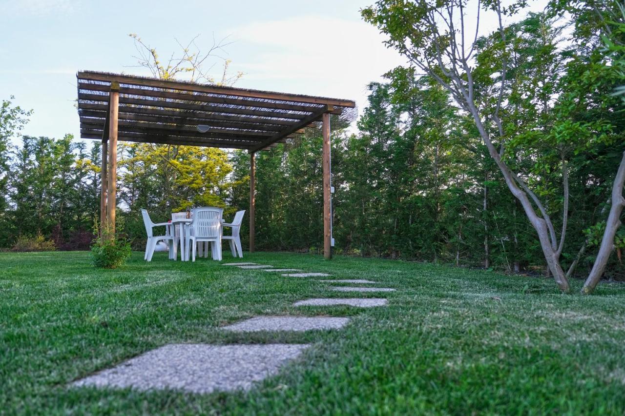 Agriturismo Da Rosy Codevigo Екстер'єр фото